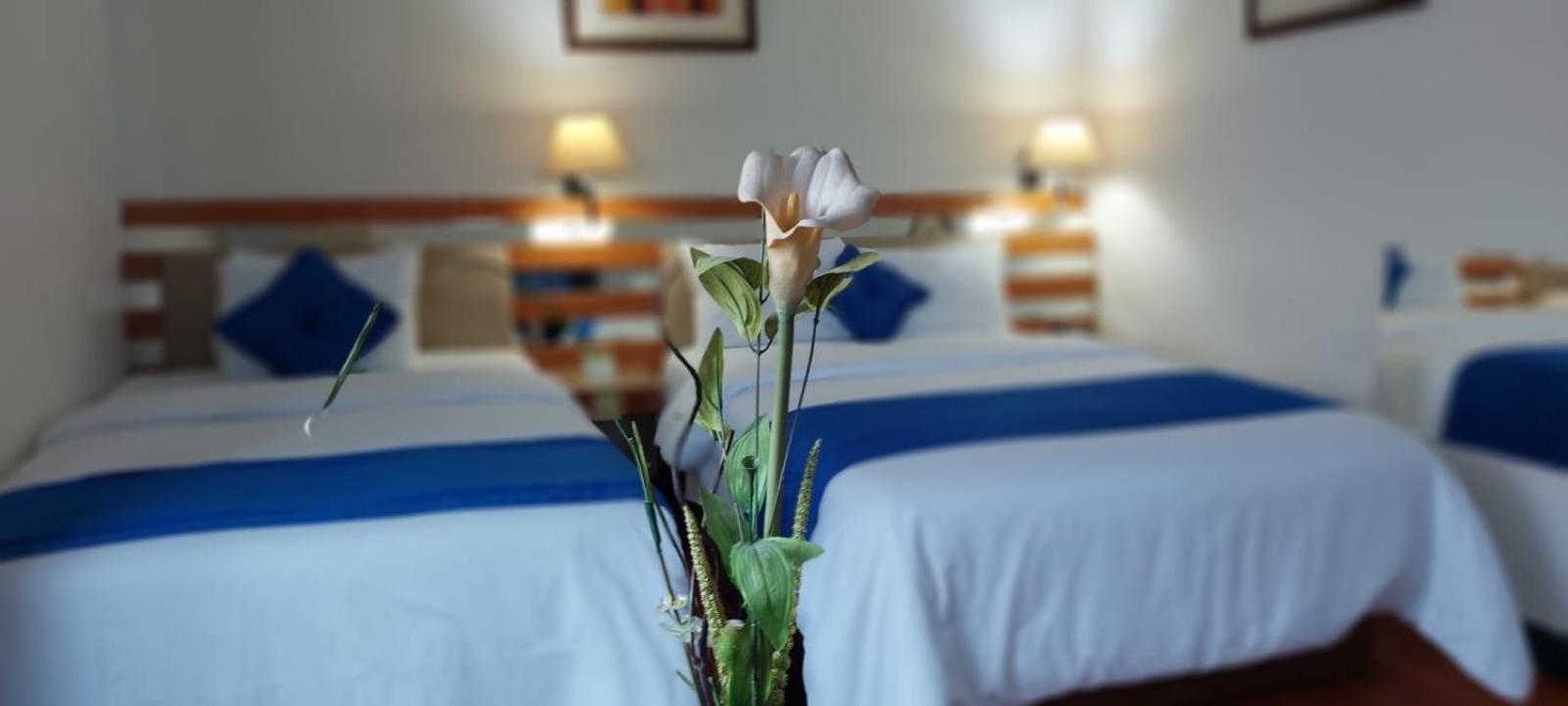 Blue Star Hotel ليما المظهر الخارجي الصورة